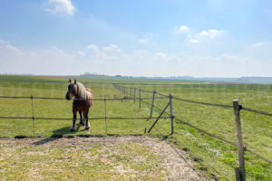 Prés pour chevaux propriété équestre À vendre Seine-et-Marne
